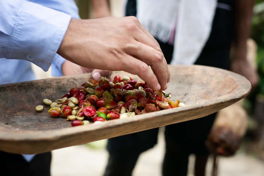 Medellin: Coffee Tour, Horseback Arrival, and Sugar Cane - Lunch with a view, plus one booking detail to check