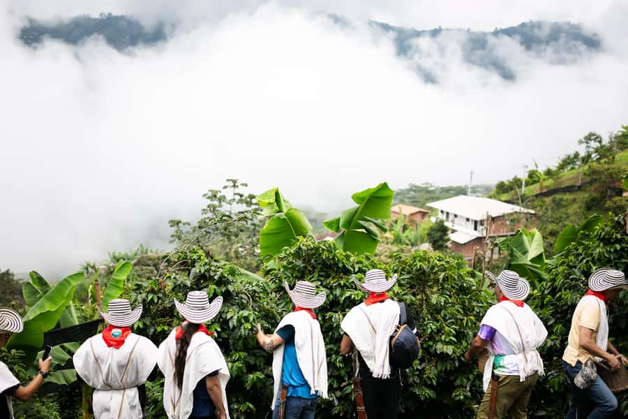 Medellin: Coffee Tour, Horseback Arrival, and Sugar Cane - Is $76 a fair price?