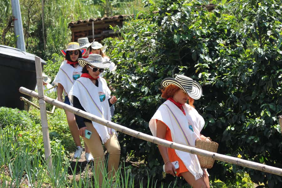Medellin: Coffee Tour with Hotel Transfers and Meals - Why this farm visit feels different from a city coffee stop