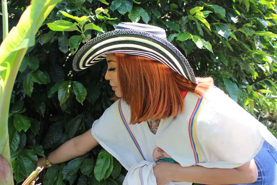 Medellin: Coffee Tour with Hotel Transfers and Meals - How the $70 price works for you