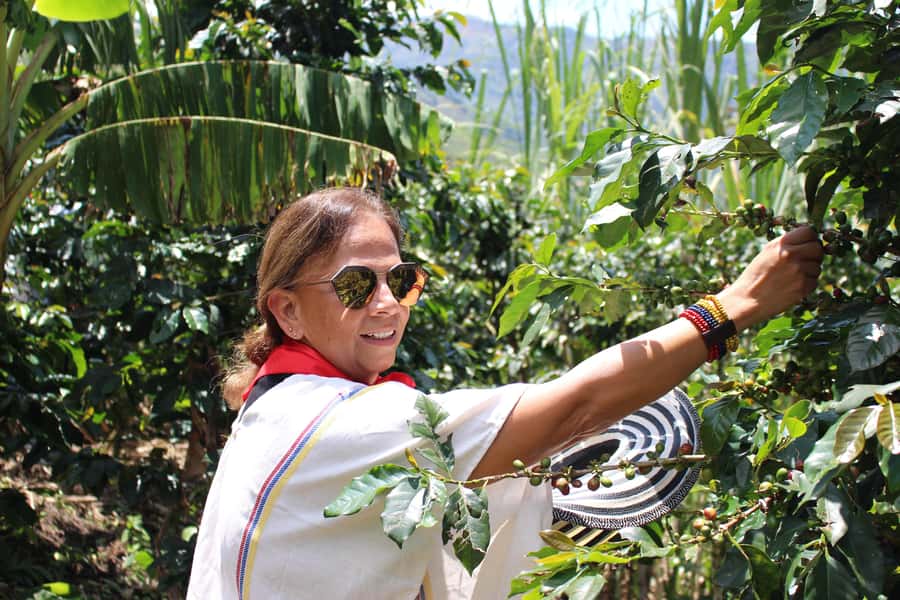 Medellin: Coffee Tour with Hotel Transfers and Meals - Arriving at San Sebastián de Palmitas
