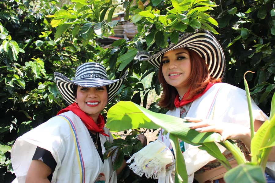 Medellin: Coffee Tour with Hotel Transfers and Meals - From coffee fruit to roasted beans