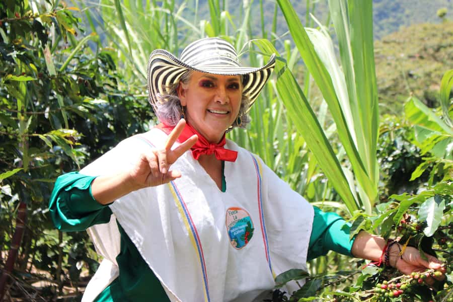 Medellin: Coffee Tour with Hotel Transfers and Meals - Fiambre paisa with a view from Casagrande