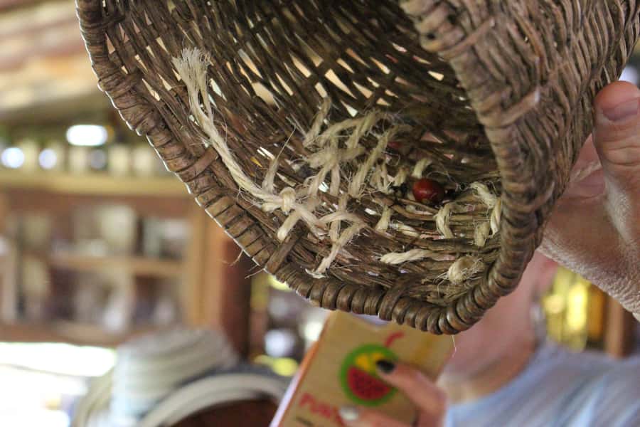 Medellin: Coffee Tour with Hotel Transfers and Meals - Group size, language, and pace