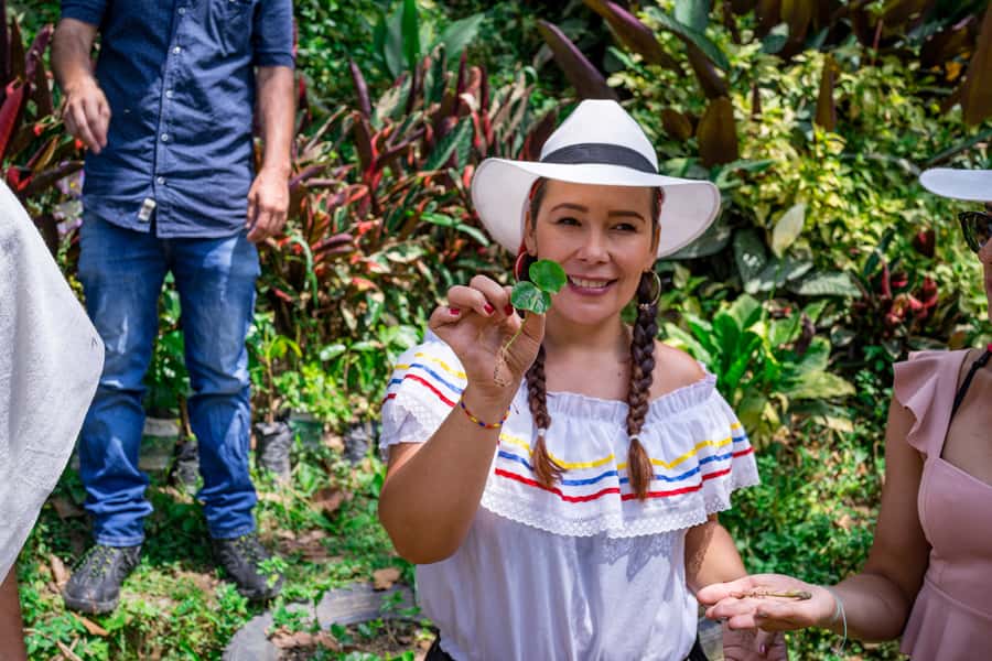 Medellin: Coffee Tour with Transport, Snacks and Tastings - Key things to know before booking