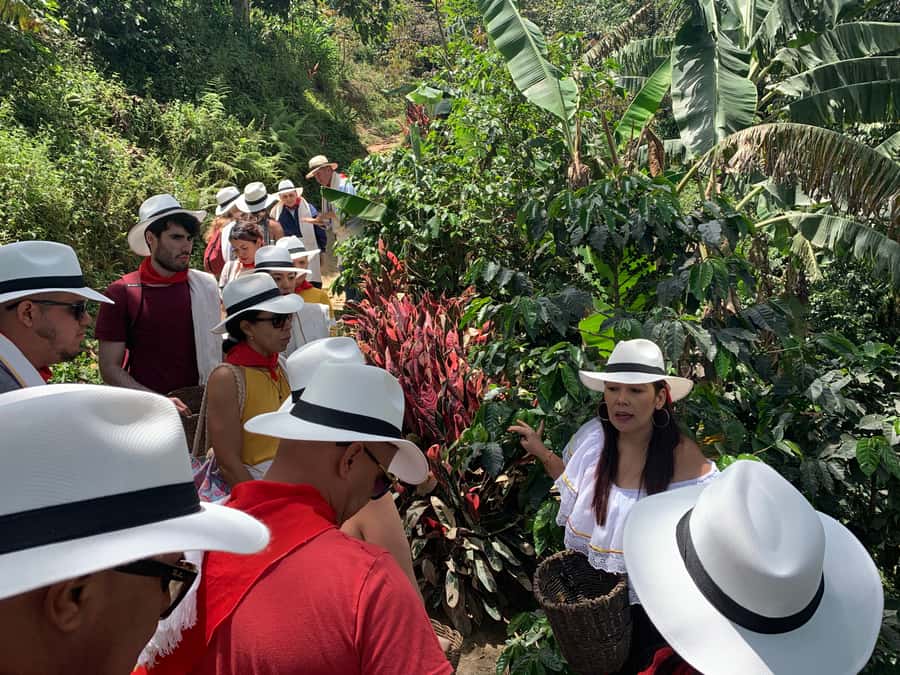 Medellin: Coffee Tour with Transport, Snacks and Tastings - Who will enjoy this tour most