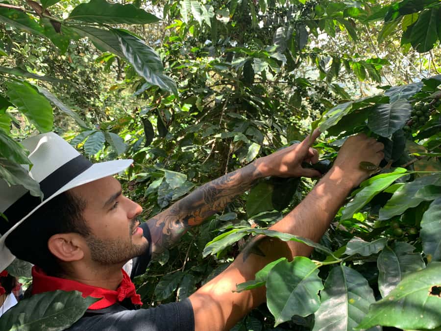 Medellin: Coffee Tour with Transport, Snacks and Tastings - Learning to brew and taste coffee