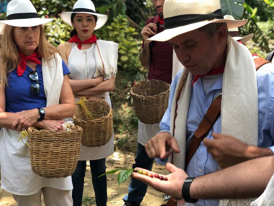 Medellin: Coffee Tour with Transport, Snacks and Tastings - Optional horseback riding through the hills