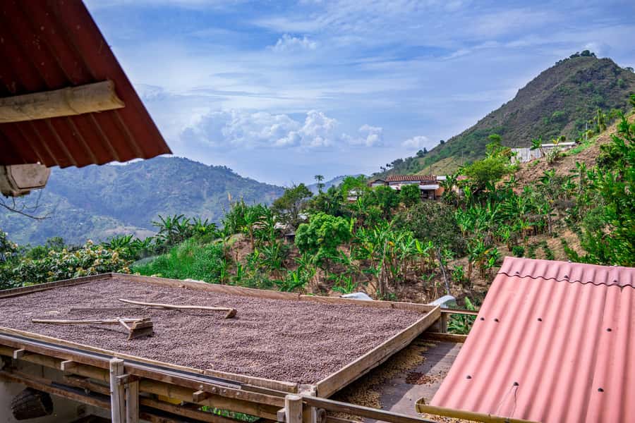 Medellin: Coffee Tour with Transport, Snacks and Tastings - Dressing as a paisa muleteer