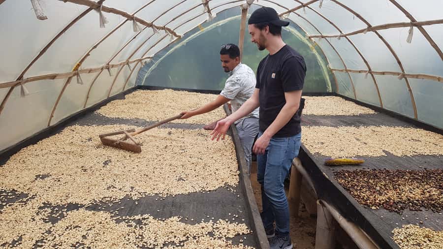 Medellin: Guatape, El Peñol Coffee Farm Private Tour & Fruit - The coffee farm near El Peñol