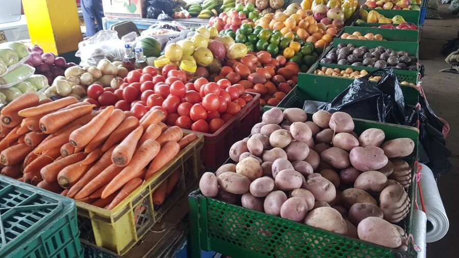 Medellin: Guatape, El Peñol Coffee Farm Private Tour & Fruit - Climbing El Peñol’s 700-plus steps