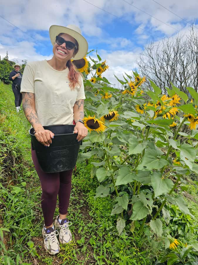 Medellin: Guatape, El Peñol Coffee Farm Private Tour & Fruit - Lunch in Guatapé, with the cost left to you