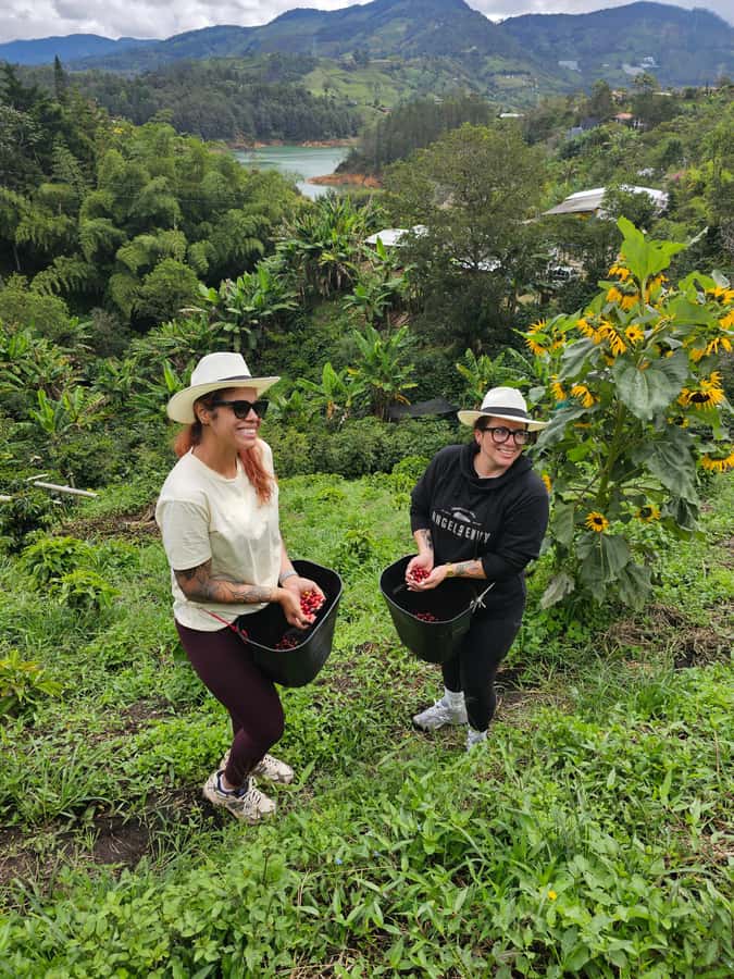 Medellin: Guatape, El Peñol Coffee Farm Private Tour & Fruit - The guide can shape the quality of the day