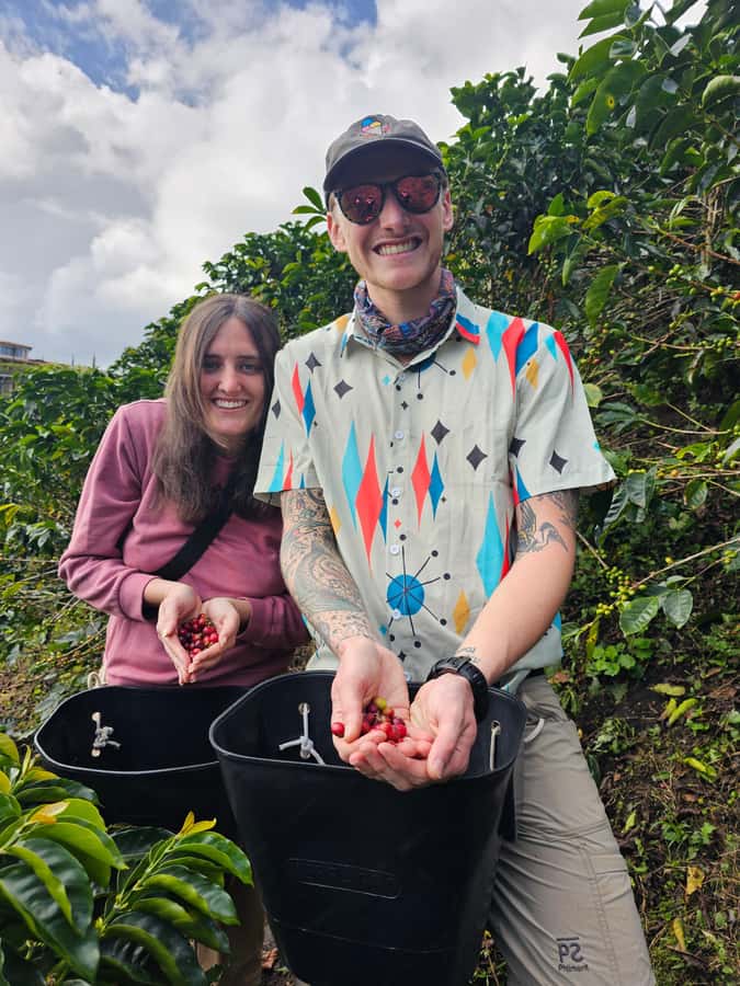 Medellin: Guatape, El Peñol Coffee Farm Private Tour & Fruit - What $169 includes, and where the value lies