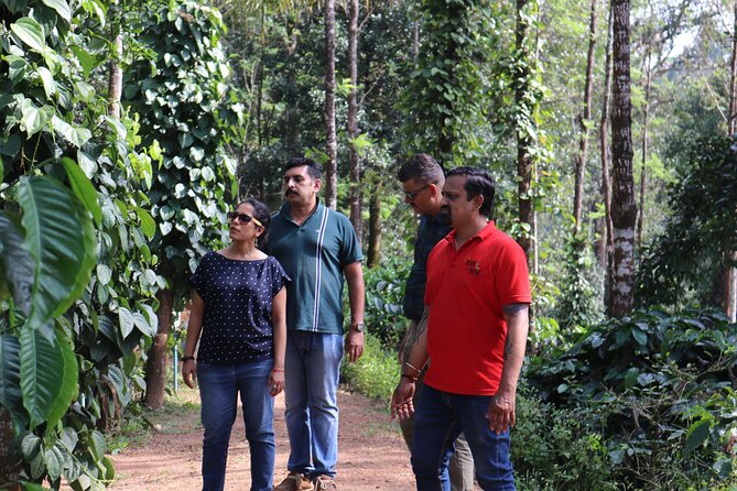 Mercara Gold Coorg Coffee and Spice Estate Tour - Walking among coffee, spices, and fruit