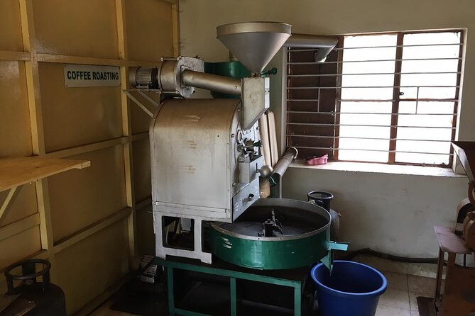 Mercara Gold Coorg Coffee and Spice Estate Tour - What to wear and how to plan the morning