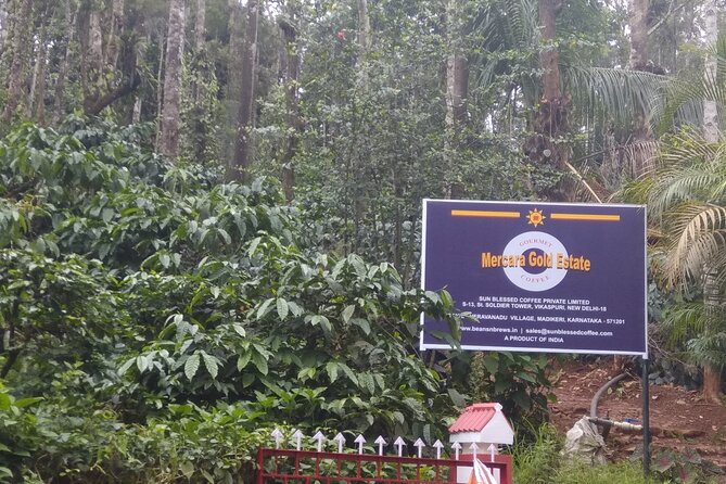 Mercara Gold Coorg Coffee and Spice Estate Tour - Following the coffee into the processing unit