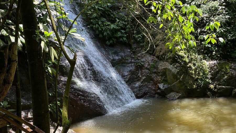 Minca: Hidden Waterfall + Coffee and Cocoa Workshop - Turning cocoa into your own chocolate bar