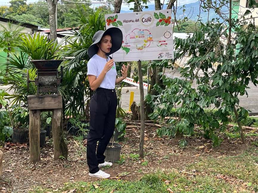Monte Alto Factory Coffee Tour: Jarabacoa Experience - Why Café Monte Alto makes a good Jarabacoa stop