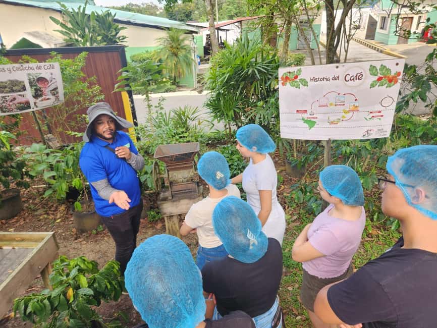 Monte Alto Factory Coffee Tour: Jarabacoa Experience - From raw bean to finished package