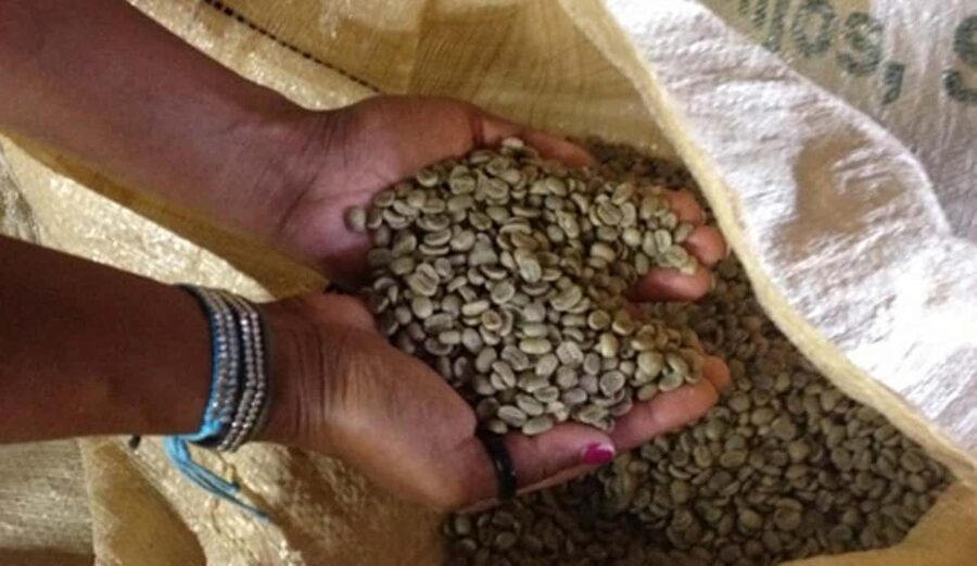 Monte Alto Factory Coffee Tour: Jarabacoa Experience - Who should book this tour?