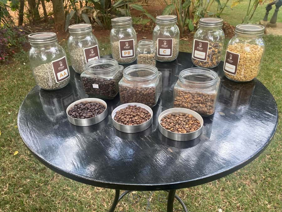 Nairobi: Coffee Factory and Farm Tour with Transfer - Key points to know before you go