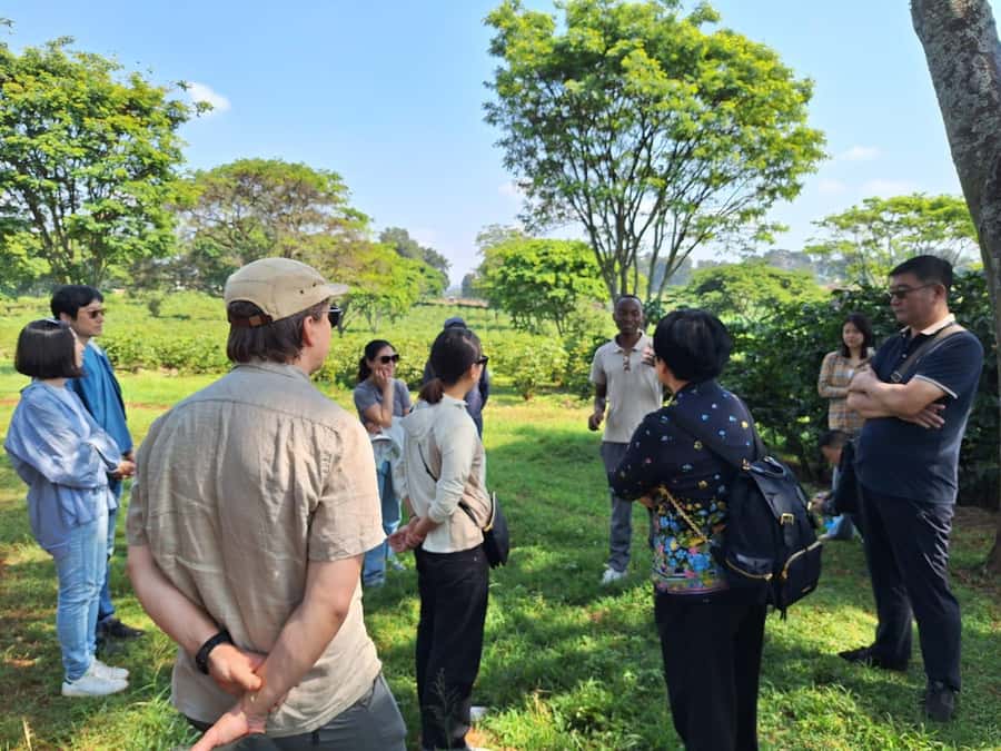 Nairobi: Coffee farm tour with pick up - From Nairobi streets to Fairview Estate