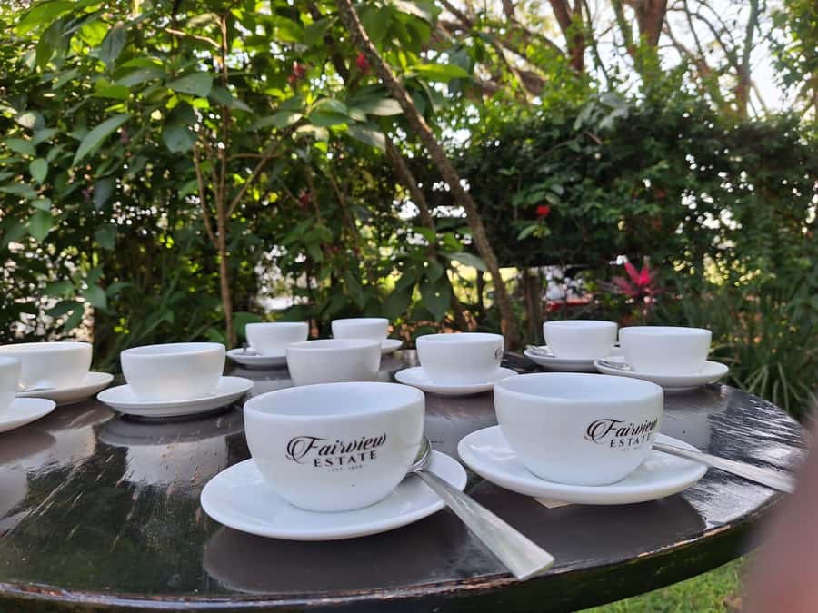 Nairobi: Coffee farm tour with pick up - Tasting citrus, berry, and chocolate notes