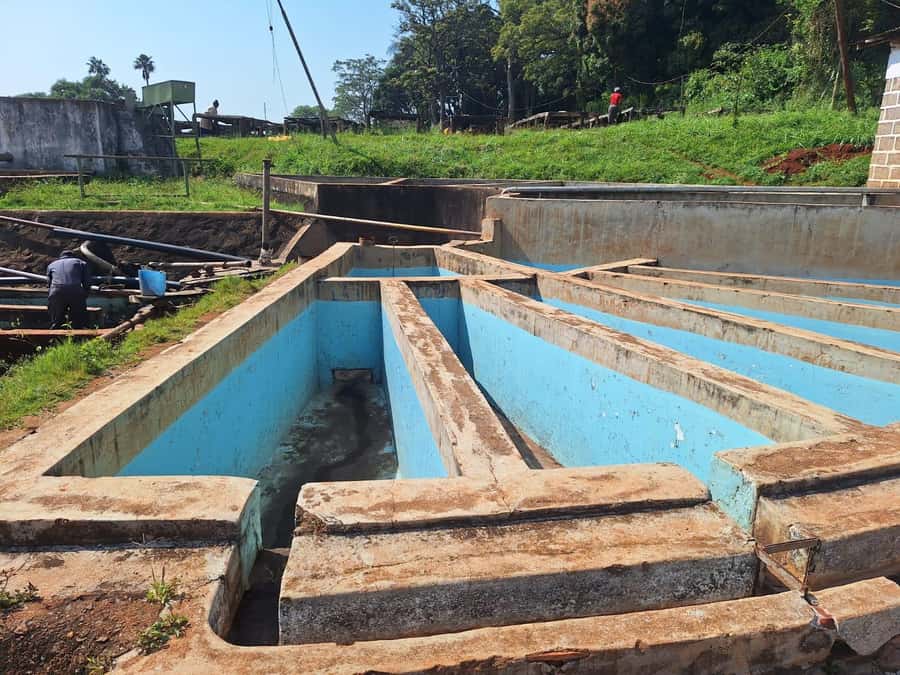 Nairobi: Coffee farm tour with pick up - What the $36 price really means