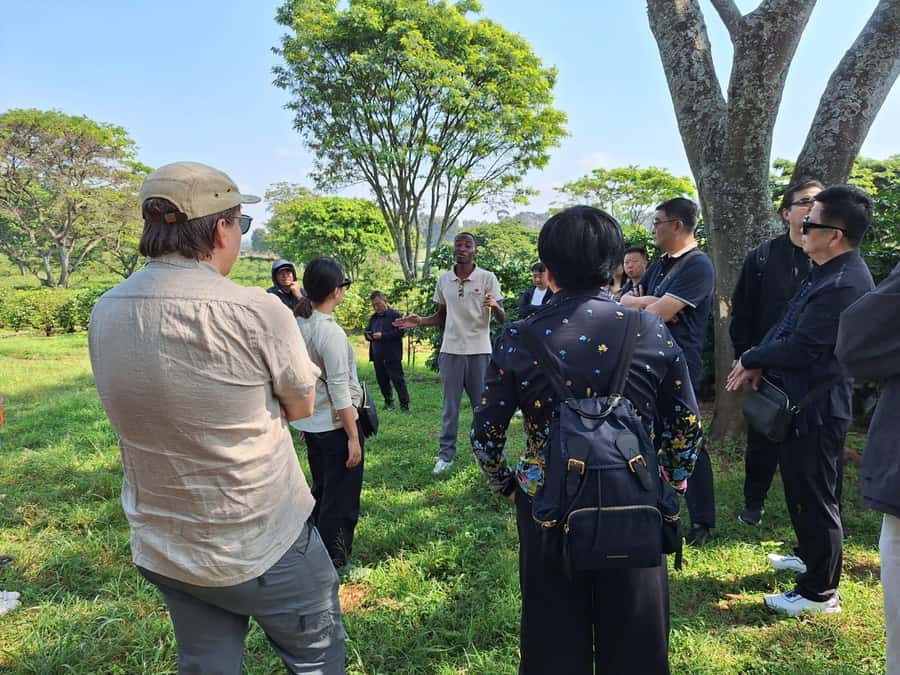 Nairobi: Coffee farm tour with pick up - Who will enjoy this half-day outing
