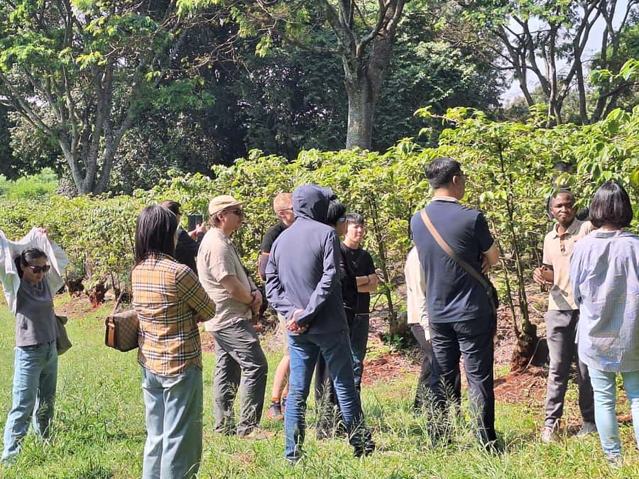 Nairobi: Coffee farm tour with pick up - Should you book Fairview Estate?