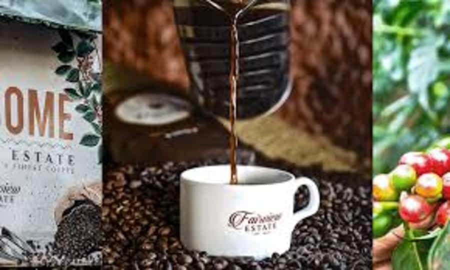 Nairobi: Fairview Coffee Estate Tour with Pickup - Key points at a glance