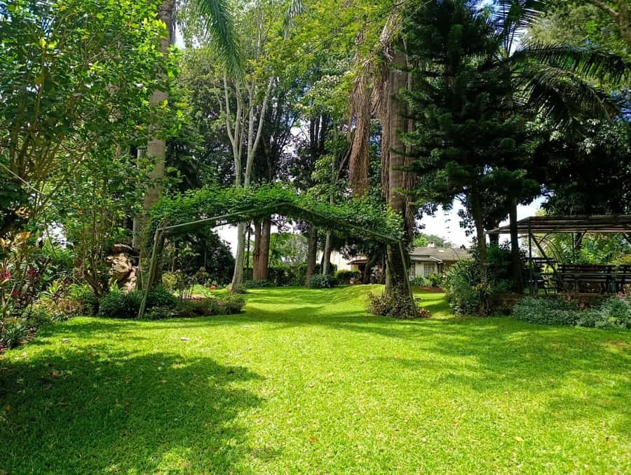 Nairobi: Fairview Coffee Estate Tour with Pickup - What the $38 price really covers