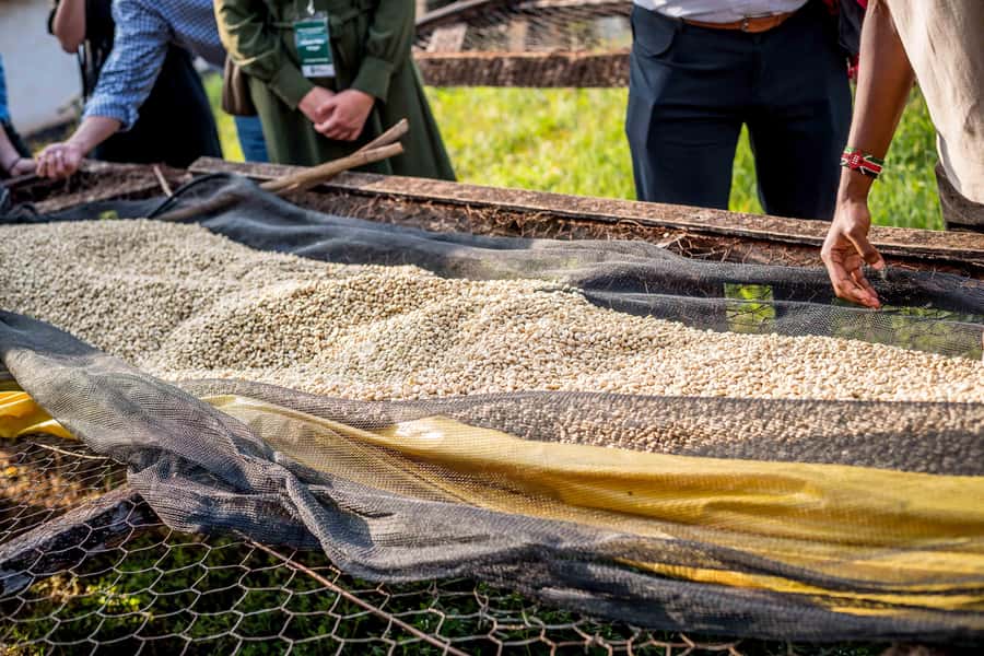 Nairobi: Guided Coffee Farm Tour with Tastings - Who will enjoy this coffee tour most?