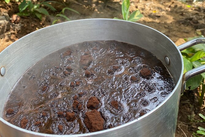 Organic Coffee Tour and Local Food Experience in Arusha - Coffee in the treehouse with Mount Meru views