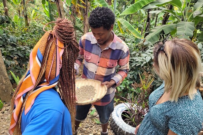 Organic Coffee Tour and Local Food Experience in Arusha - Who should book this farm visit?