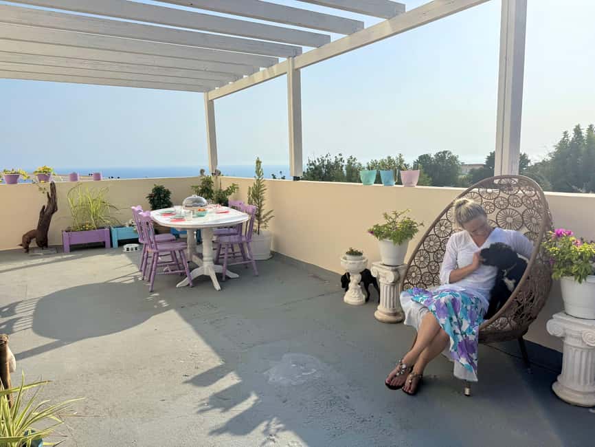 Paphos/ Peyia: Coffee, Cake, and Cuddles with Rescue Puppies - A quiet puppy visit at a Peyia villa
