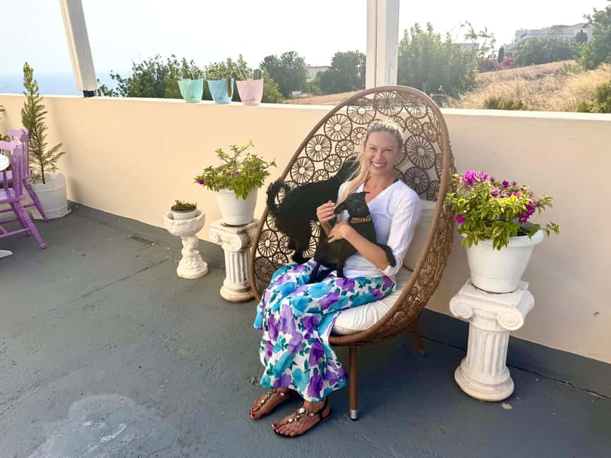 Paphos/ Peyia: Coffee, Cake, and Cuddles with Rescue Puppies - Where the puppies go after the visit