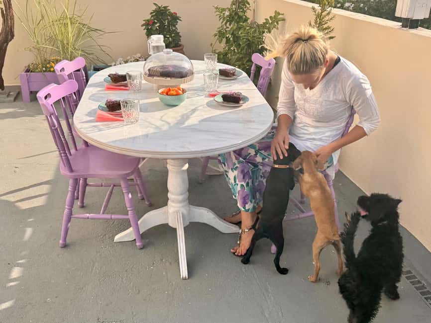 Paphos/ Peyia: Coffee, Cake, and Cuddles with Rescue Puppies - Practical details for a smooth visit
