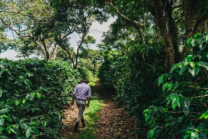 Poás Volcano and Coffee Tour with Tasting and La Paz Falls - The guide can shape the whole experience