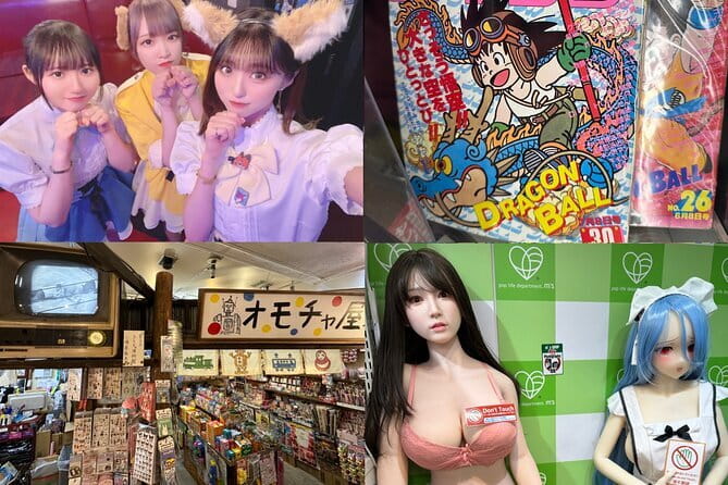 Private Akihabara Retro Tokyo Anime Game Maid Cafe Tour w/ pickup - Key points at a glance