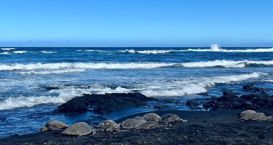 Private Big Island Tour:Coffee, Beaches,Volcanos & Waterfall - Key points to know before booking