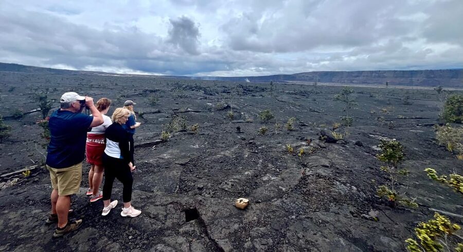 Private Big Island Tour:Coffee, Beaches,Volcanos & Waterfall - Punaluʻu Black Sand Beach and sea turtles