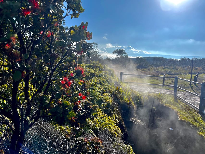 Private Big Island Tour:Coffee, Beaches,Volcanos & Waterfall - Comfort, accessibility, and the real value