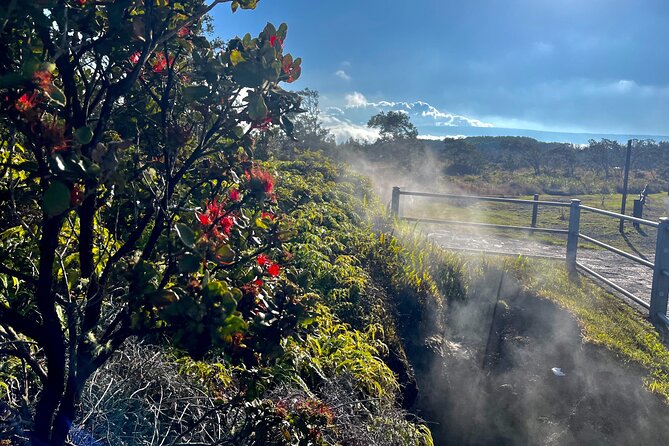 Private Big Island Tour: Coffee, Beaches, Volcanos, Waterfalls - Punaluʻu Black Sand Beach and green sea turtles