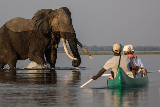 Private Canoeing, Cycling, Coffee and Hiking Tour in lake Duluti. - Key points at a glance