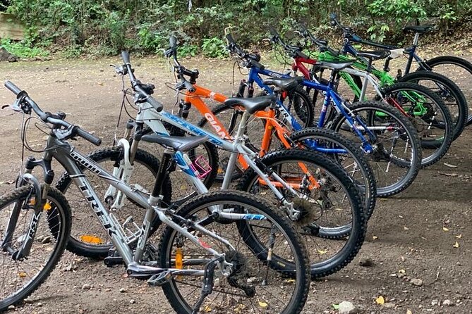 Private Canoeing, Cycling, Coffee and Hiking Tour in lake Duluti. - What a full day at Lake Duluti feels like
