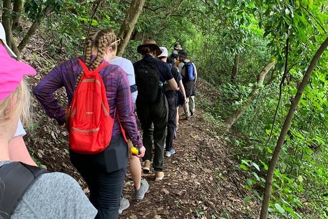 Private Canoeing, Cycling, Coffee and Hiking Tour in lake Duluti. - Cycling from the lake to an inner Meru village
