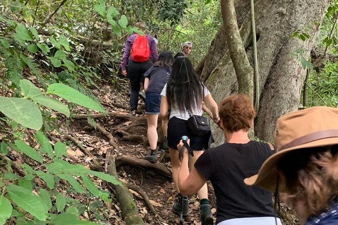 Private Canoeing, Cycling, Coffee and Hiking Tour in lake Duluti. - Timing, fitness, and what to bring