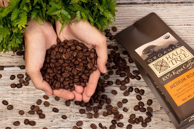 Private Coffee Roasting Class - Key details before you book